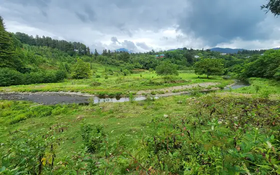1100 m² Riverside Land Plot in Chaisubani, Chakvi, photo 2