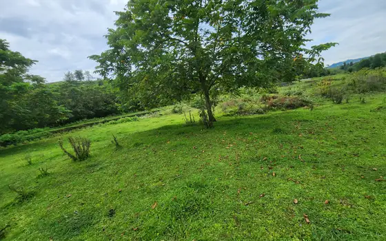 1100 m² Riverside Land Plot in Chaisubani, Chakvi, photo 9