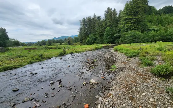 1100 m² Riverside Land Plot in Chaisubani, Chakvi, photo 6