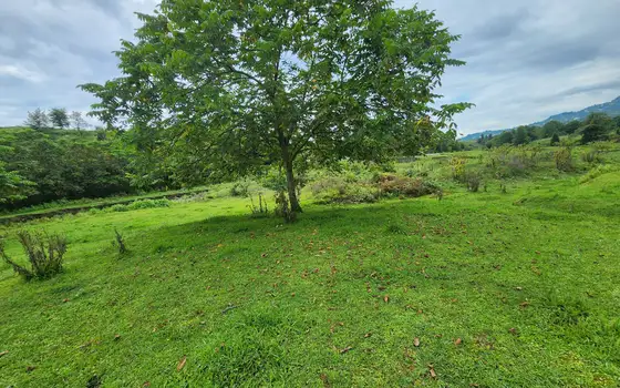 1100 m² Riverside Land Plot in Chaisubani, Chakvi, photo 8