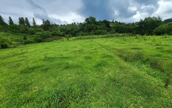 1100 m² Riverside Land Plot in Chaisubani, Chakvi, photo 10