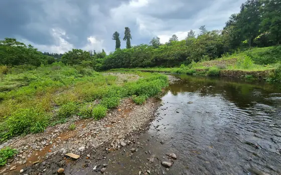 1100 m² Riverside Land Plot in Chaisubani, Chakvi, photo 5