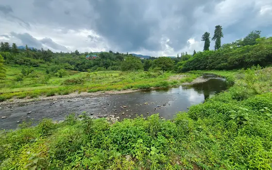 1100 m² Riverside Land Plot in Chaisubani, Chakvi, photo 3