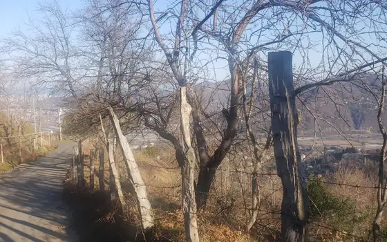 Продается земельный участок с прекрасным видом.