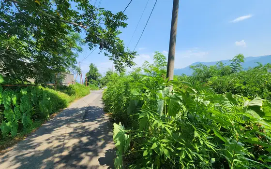Land plot on the main road to Argo cable car with mountain views, photo 8