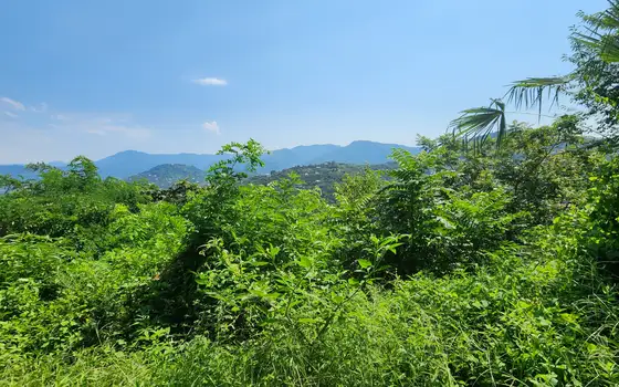 Land plot on the main road to Argo cable car with mountain views, photo 7