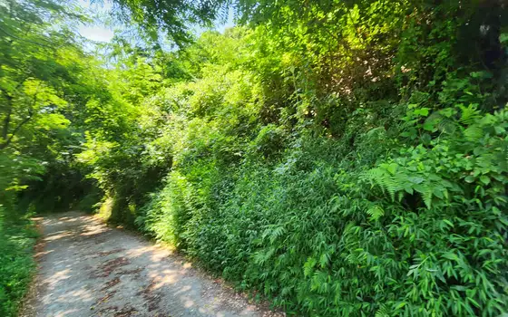 Land plot on the main road to Argo cable car with mountain views, photo 2