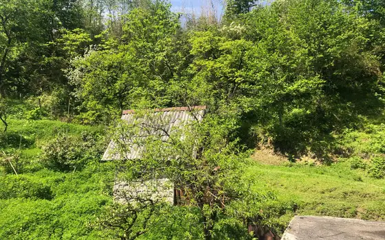 Частный дом на продаже в Чакви село Хала с видом на горы.