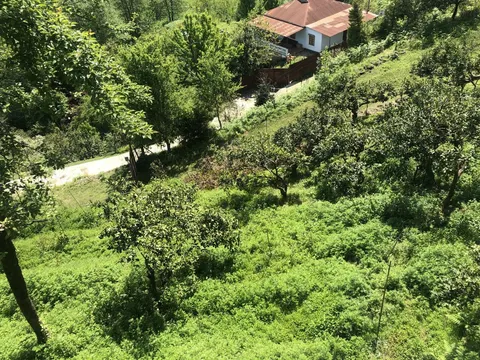 Частный дом на продаже в Чакви село Хала с видом на горы.