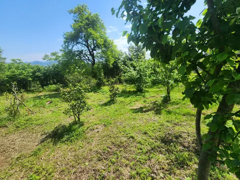 Продается частный дом с видом на море.
