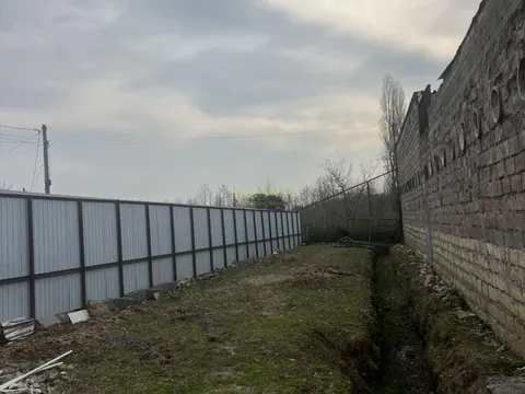 Продается цех по переработке лавра.