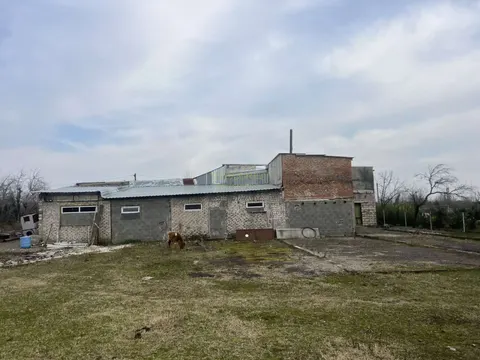 Продается цех по переработке лавра.