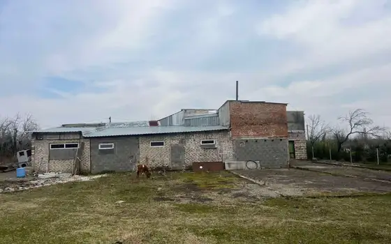 Продается цех по переработке лавра.