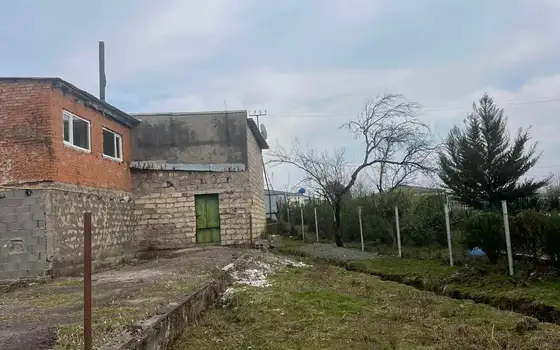 Продается цех по переработке лавра.