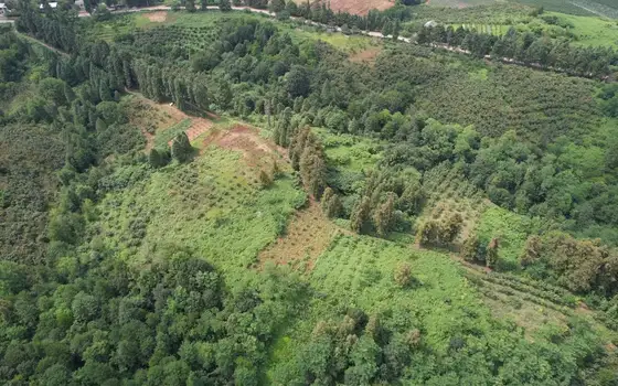 СРОЧНО! Продается земельный участок в село Лаитури.