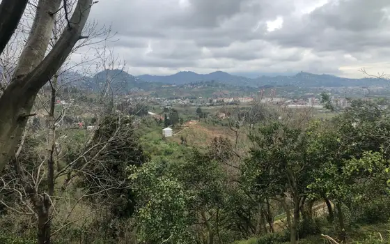 2000 sq. m. Land Plot with Beautiful Views in Makhinjauri, photo 11