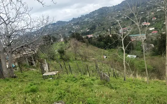 2000 sq. m. Land Plot with Beautiful Views in Makhinjauri, photo 2