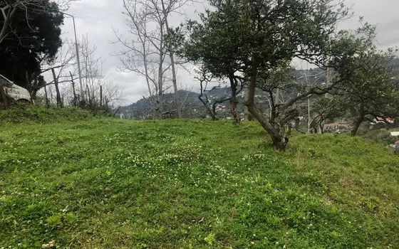 2000 sq. m. Land Plot with Beautiful Views in Makhinjauri, photo 10