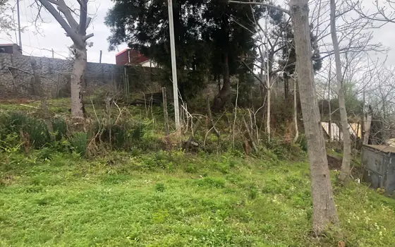 2000 sq. m. Land Plot with Beautiful Views in Makhinjauri, photo 6