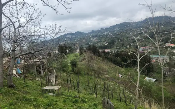 2000 sq. m. Land Plot with Beautiful Views in Makhinjauri, photo 5