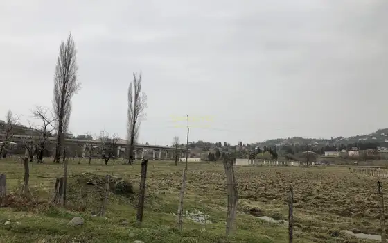 Продается земельный участок в Чакви.