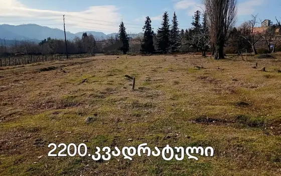 Продается земельный участок в Чакви.