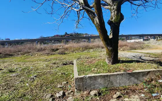 Продается земельный участок в Чакви. - სურათი 1