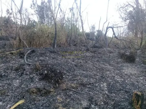 Продается земельный участок с видом на море и горы в Махинджаури. - სურათი 1