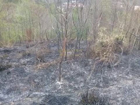 Продается земельный участок с видом на море и горы в Махинджаури.