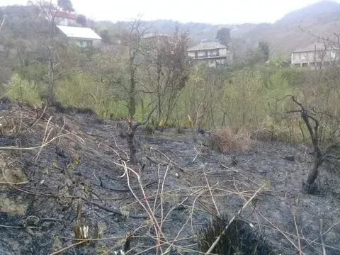 Продается земельный участок с видом на море и горы в Махинджаури.