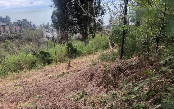 Продается земельный участок с видом на море и горы в Махинджаури.