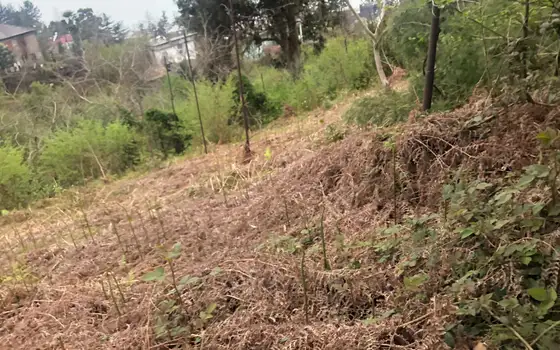 Продается земельный участок с видом на море и горы в Махинджаури.