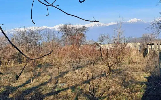 Частный дом в Кахети.