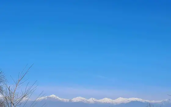 Частный дом в Кахети.
