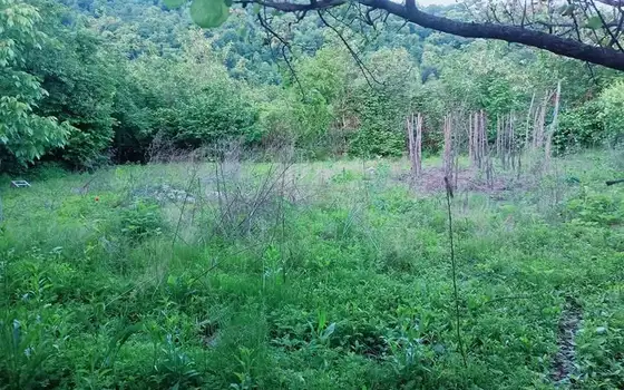Продается частный дом в Кахети.