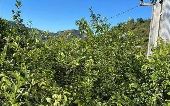 Частный дом от города Батуми 6 километрах.