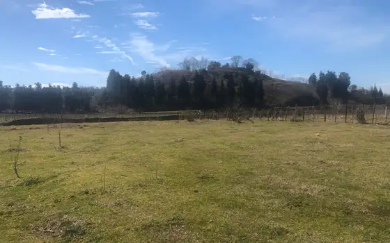 Investment Land Plot by the River in Kobuleti, photo 3