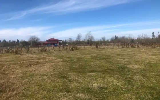 Investment Land Plot by the River in Kobuleti, photo 10