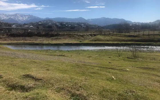 Investment Land Plot by the River in Kobuleti, photo 12