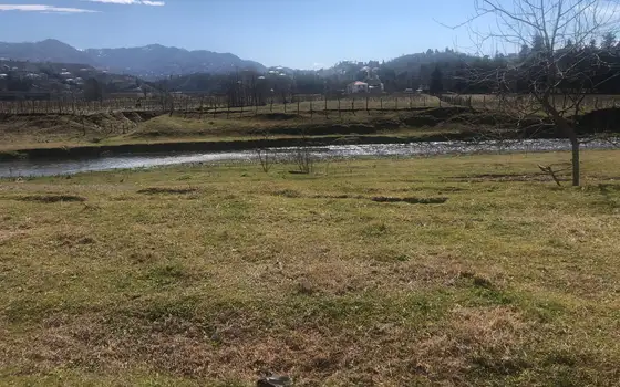Investment Land Plot by the River in Kobuleti, photo 6