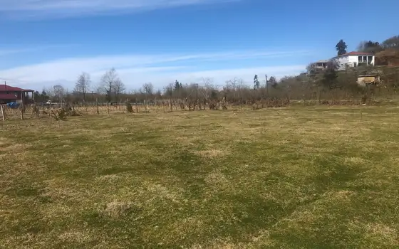 Investment Land Plot by the River in Kobuleti, photo 9