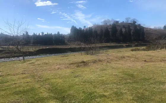 Investment Land Plot by the River in Kobuleti, photo 4
