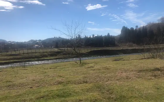 Investment Land Plot by the River in Kobuleti, photo 5