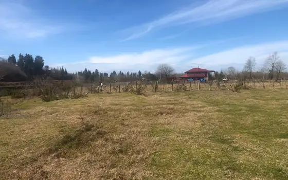 Investment Land Plot by the River in Kobuleti, photo 11