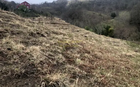 Продается земельный участок с видом на море и горы в тихом месте в Махинджаури.