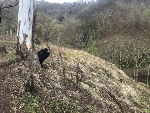 Продается земельный участок с видом на море и горы в тихом месте в Махинджаури. - სურათი 1