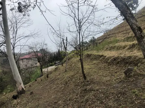 Продается земельный участок с видом на море и горы в тихом месте в Махинджаури.