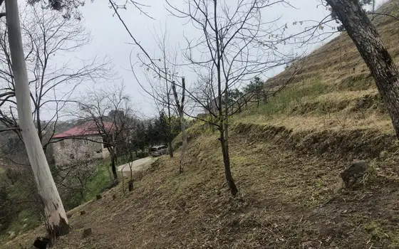 Продается земельный участок с видом на море и горы в тихом месте в Махинджаури.