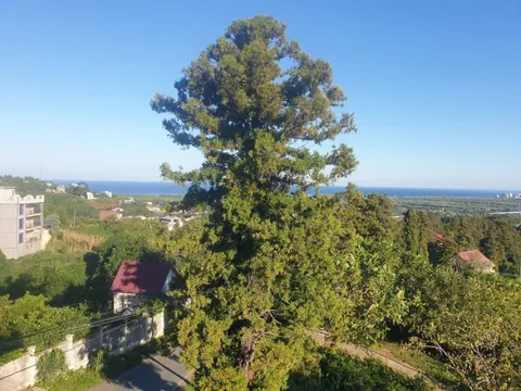 Срочно продается частный дом с видом на море.