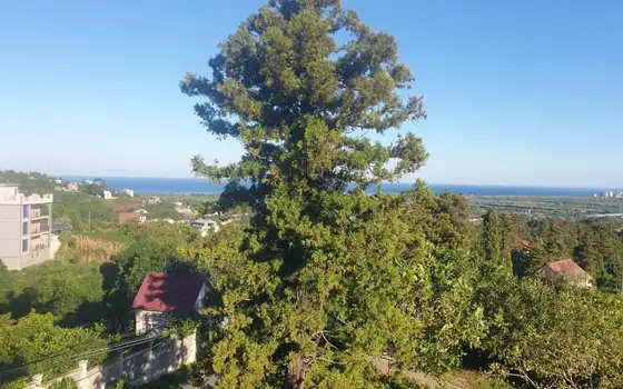 Срочно продается частный дом с видом на море.